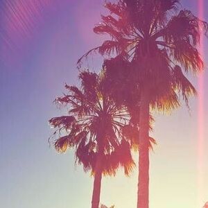 Meet your Posher, Joelle